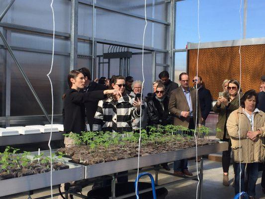 Greenhouse opening