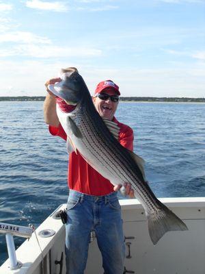 Fish Window Cleaning