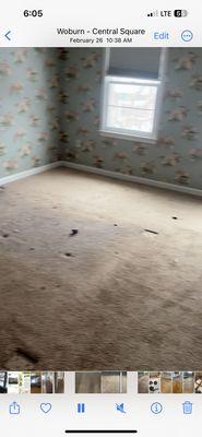 Before carpet removed