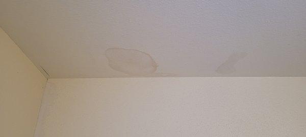 Water stains on ceiling. Mold was present--apt complex painted over