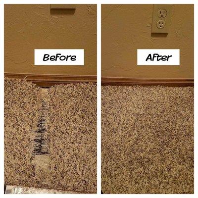 carpet repair,like newer happen  homeowner dog eat carpet