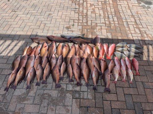 Our customers recorded a limit of all kinds of spieces of snapper and a couple strawberry grouper.