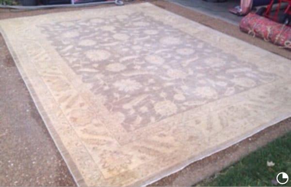 The oriental rug that had pet stains.(After it was flood Washed)