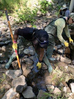 Arcade Creek Clean up - May 2023