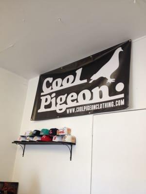 Cool Pigeon