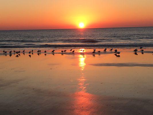 A beautiful morning sunrise on Litchfield Beach.