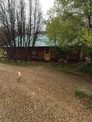 Windwhisper Cabin & Breakfast