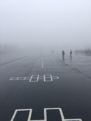 Foggy day