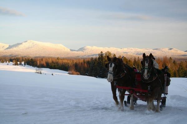 Lake Placid Sleigh Rides