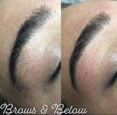 Eyebrow Wax $20