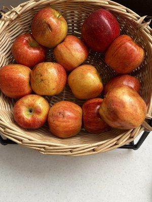 Puny, bruised apples at the breakfast bar