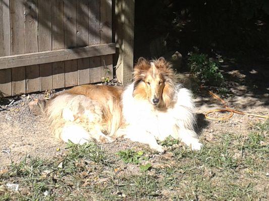 relaxing in the play yard