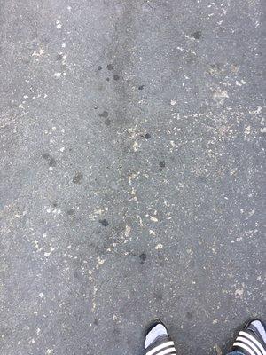 Oil stains left on our driveway.