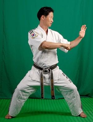 Grand Master Hyun I. Kang has over 25 years teaching experience and is a former Korean national champion.