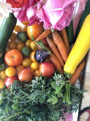 Organic Herbs and Vegetables Farm Harvested