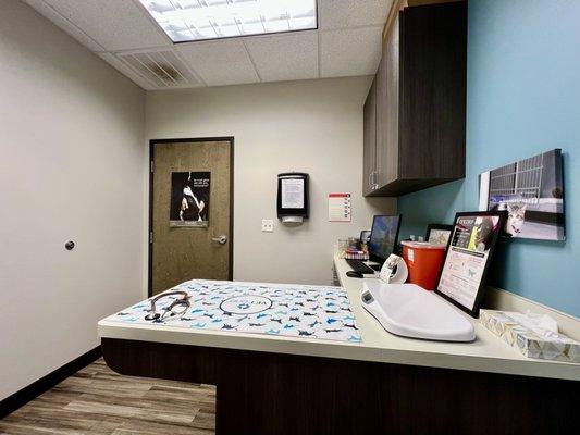 Exam room at Dominion Crossing Animal Hospital