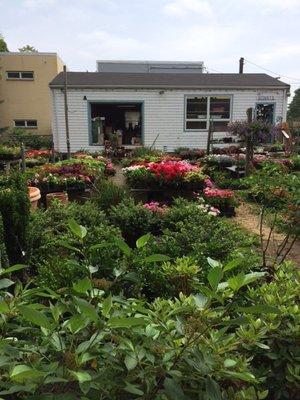 Bonny's Garden Center