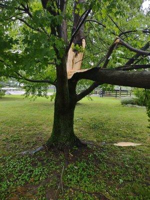 Storm Damage Cleanup