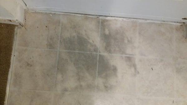 mold in my entry way