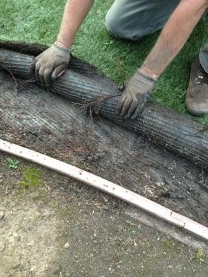 Trapping a gopher under astro turf.