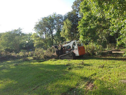 Pelican Tree Care