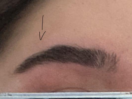 The chunk cut out + my thinned out brow.