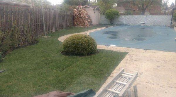 Sod around pool deck.