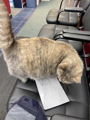 Bonnie, inspecting my paperwork