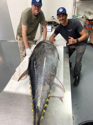 The team slicing up a local, wild caught Bluefin Tuna for same day drivers to customers.