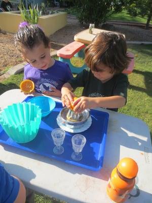 Juicing oranges from our yard!