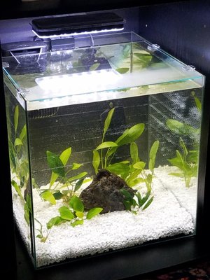 15 gallon installation,  simple and elegant.