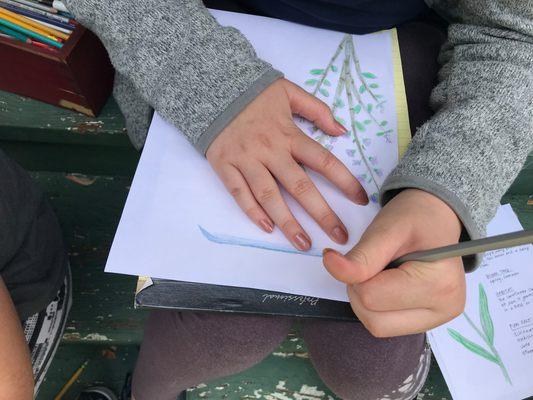 Students explore the wonders of botany by sketching flowers in the great outdoors.