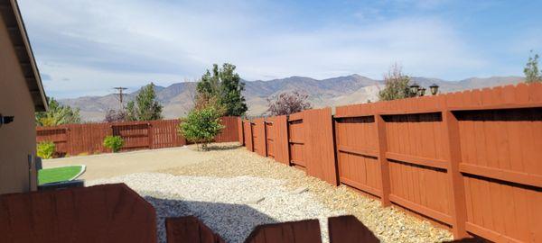 Fence repair and stain