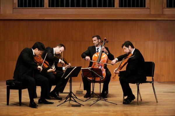 Miro Quartet, Clients of Triangle Strings