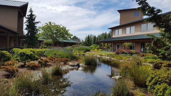 Beautiful Pond and waterfall in our building's courtyard. Come take a walk!