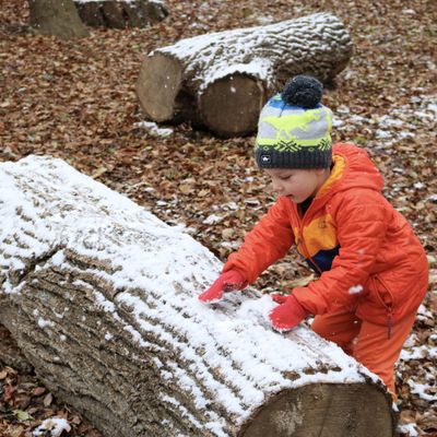 CHASING curiosity in our outdoor classroom.