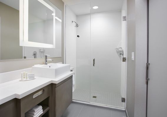 Suite Bathroom - Shower