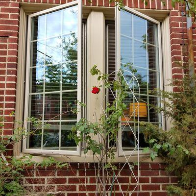 pic of casement windows; review by Deirdre F