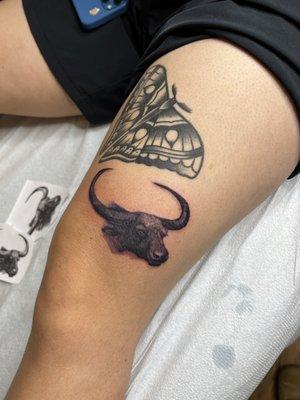 Water Buffalo Tattoo