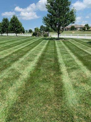 Front yard after mow