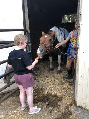 Me feeding Elvis a carrot after a job well done