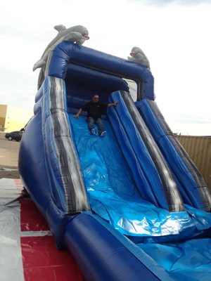 14Ft Dolphin Waterslide