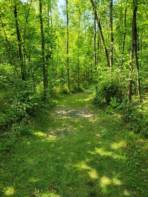 Shagbark trail head near small parking lot at the front of the park