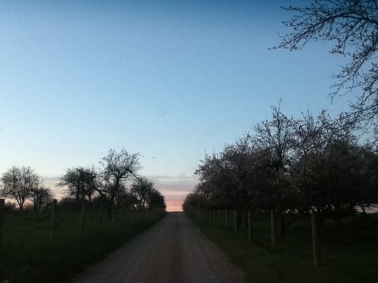 Approaching the farm at dusk