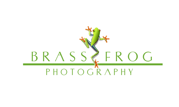 Brass Frog Photography