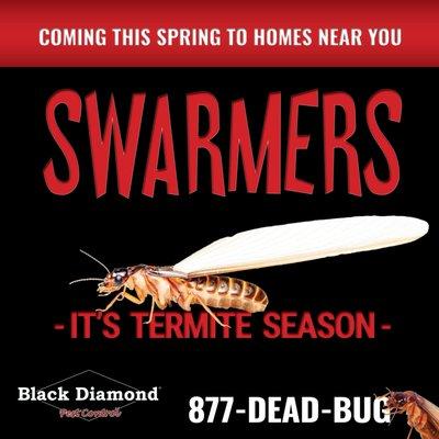 Notice some flying insects recently? Termite season is here! Call today for a free estimate 859.721.2458