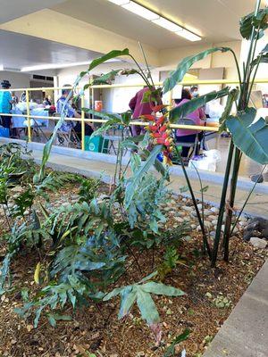 Lanakila Multi-Purpose Senior Center