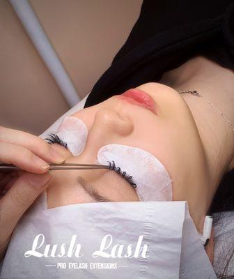 Text or call 929-483-9888 to book your lashes appointment today!!!