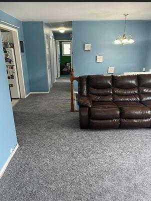 Direct carpet purchase from Carpet Mills- professional installations & Repairs