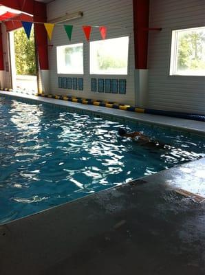 Lap swimming